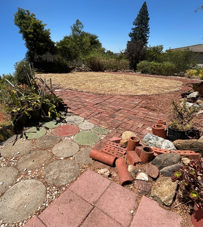 Yard Cleanups project after service