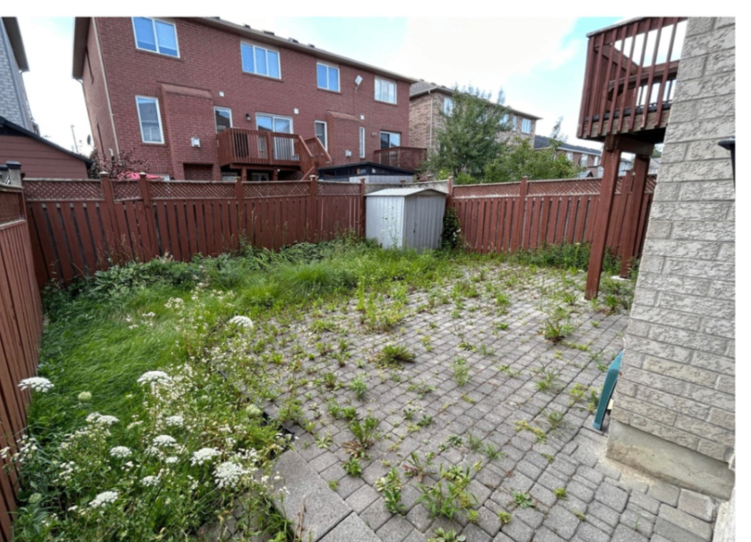 Property Cleanups project before service